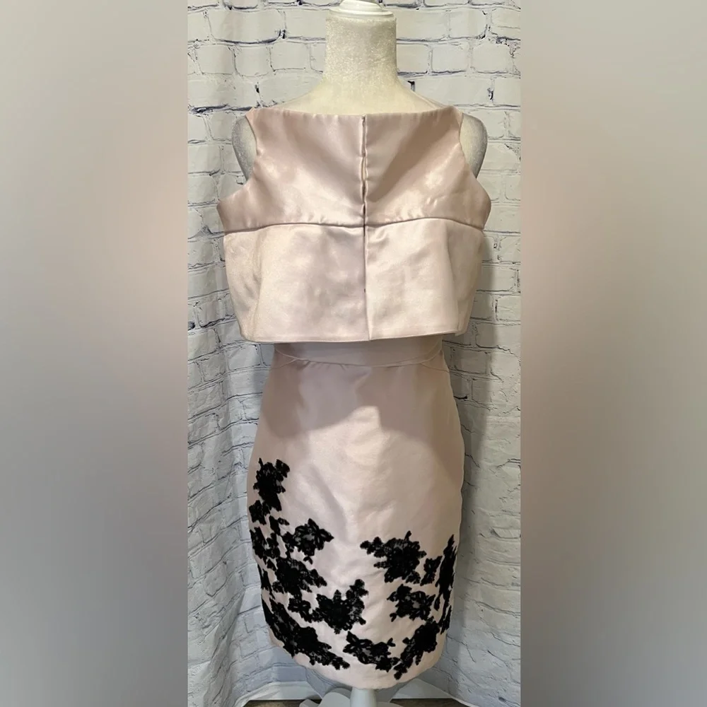 LOVE  -  Pink Strapless Empire Waist Dress w/built-in padded bra-  Size 12 - Picture 5 of 12